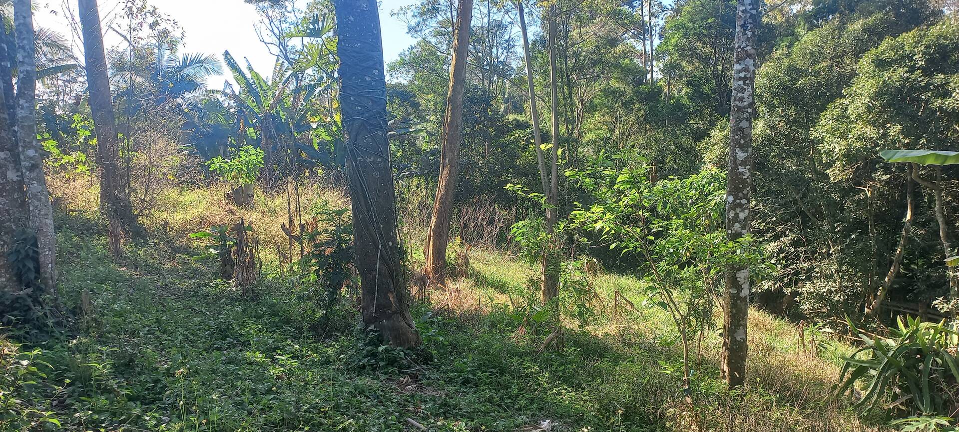 Terreno, 1830 m² - Foto 7