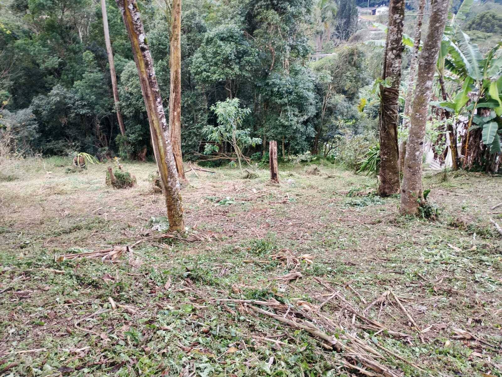 Terreno, 1830 m² - Foto 11