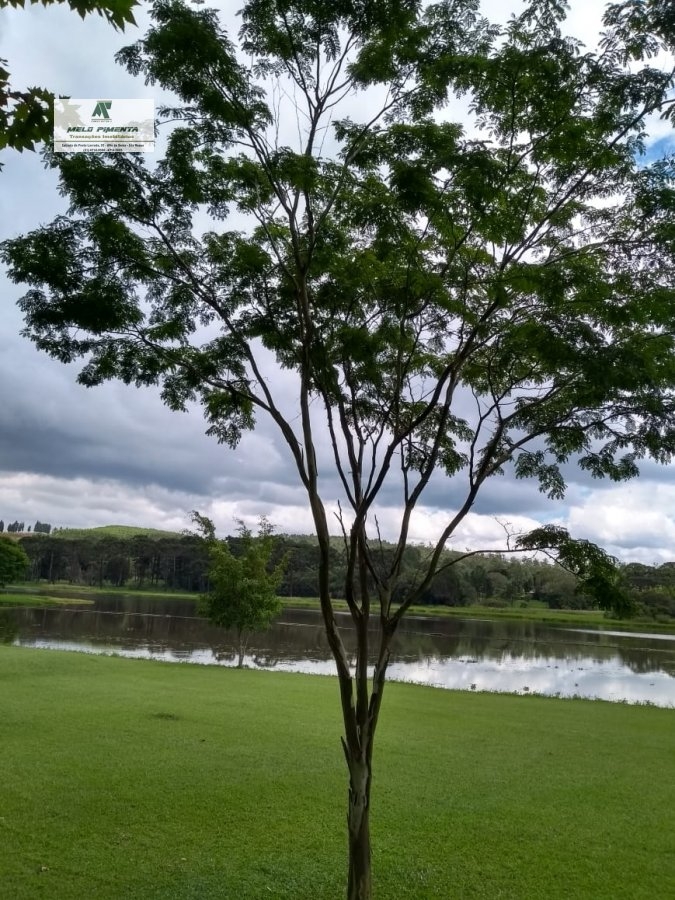 Chácara, 6 quartos, 1420 m² - Foto 2