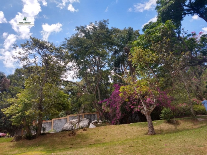 Chácara à venda com 3 quartos, 24000m² - Foto 4