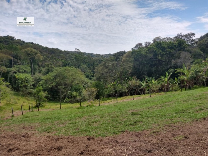 Chácara à venda com 3 quartos, 24000m² - Foto 5