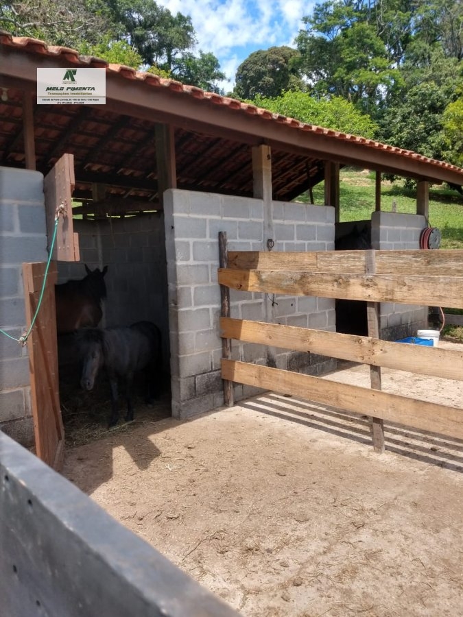 Chácara à venda com 3 quartos, 24000m² - Foto 9