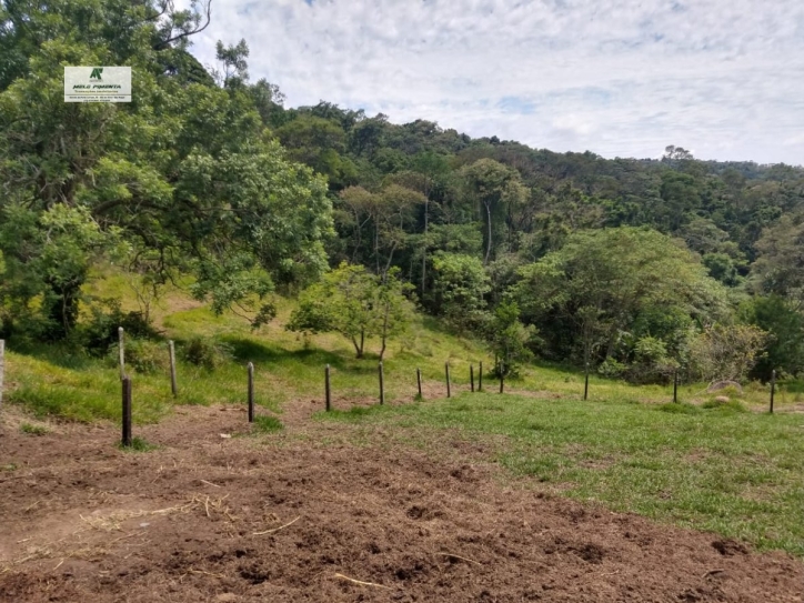 Chácara à venda com 3 quartos, 24000m² - Foto 15