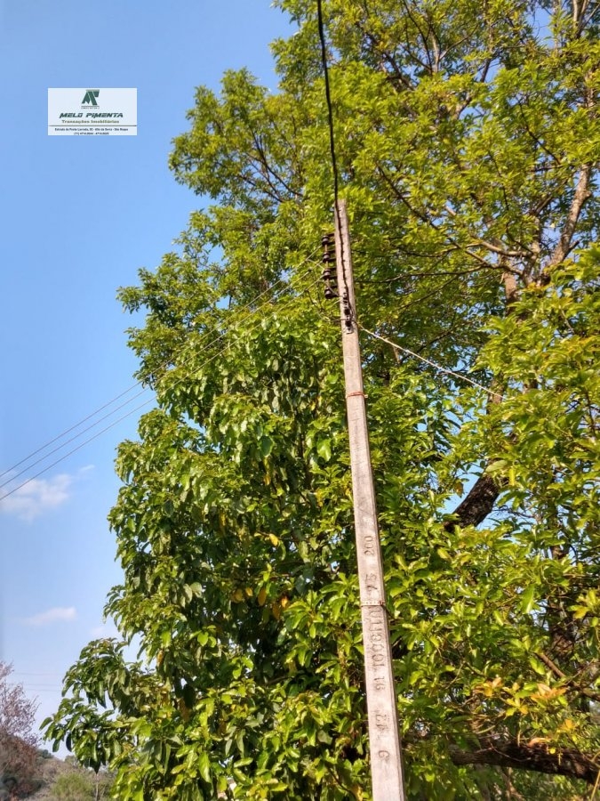 Fazenda-Sítio-Chácara, 11 hectares - Foto 6