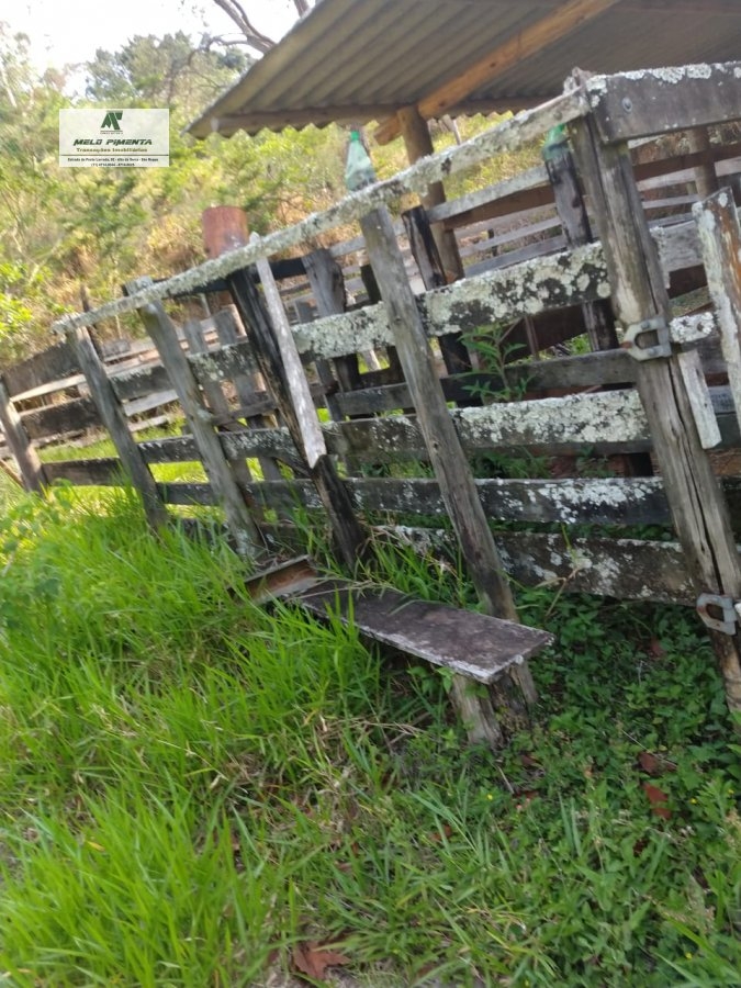 Fazenda-Sítio-Chácara, 11 hectares - Foto 7