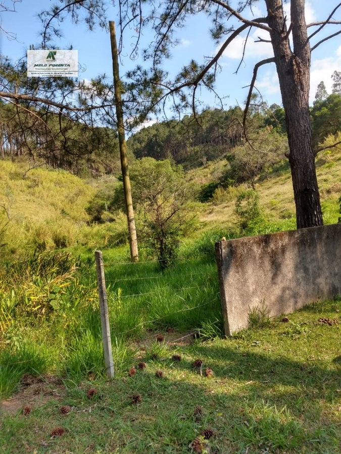 Fazenda-Sítio-Chácara, 11 hectares - Foto 11