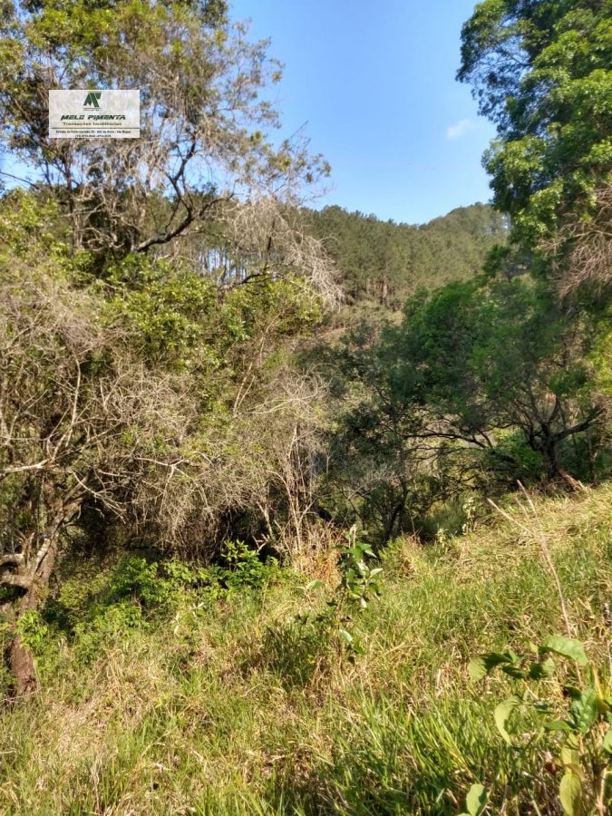 Fazenda-Sítio-Chácara, 11 hectares - Foto 14