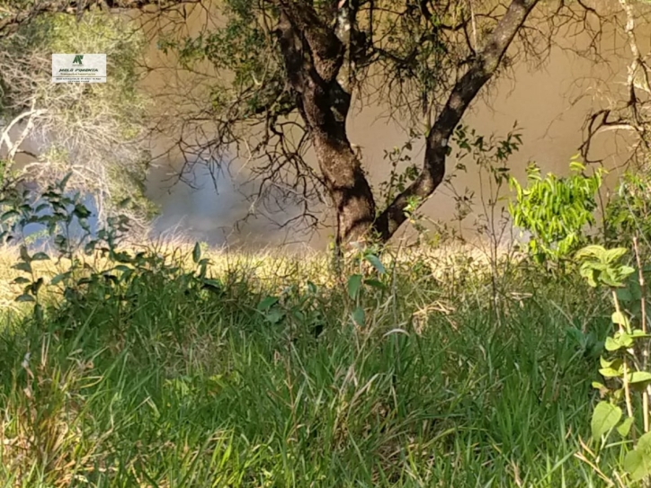 Fazenda-Sítio-Chácara, 11 hectares - Foto 15