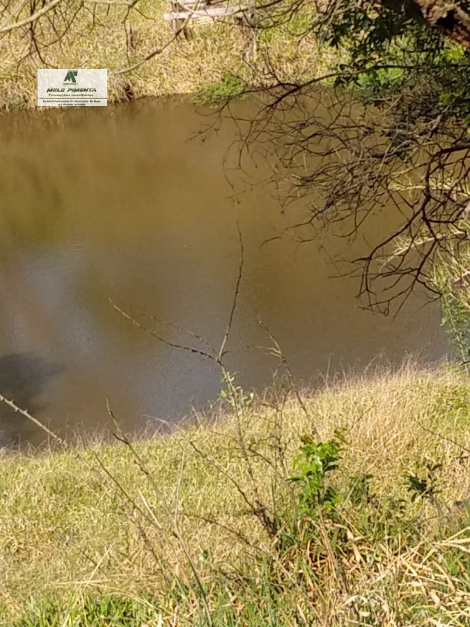 Fazenda-Sítio-Chácara, 11 hectares - Foto 16