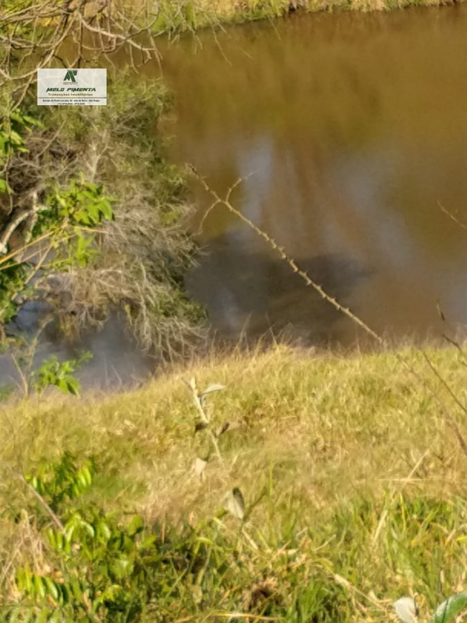 Fazenda-Sítio-Chácara, 11 hectares - Foto 21