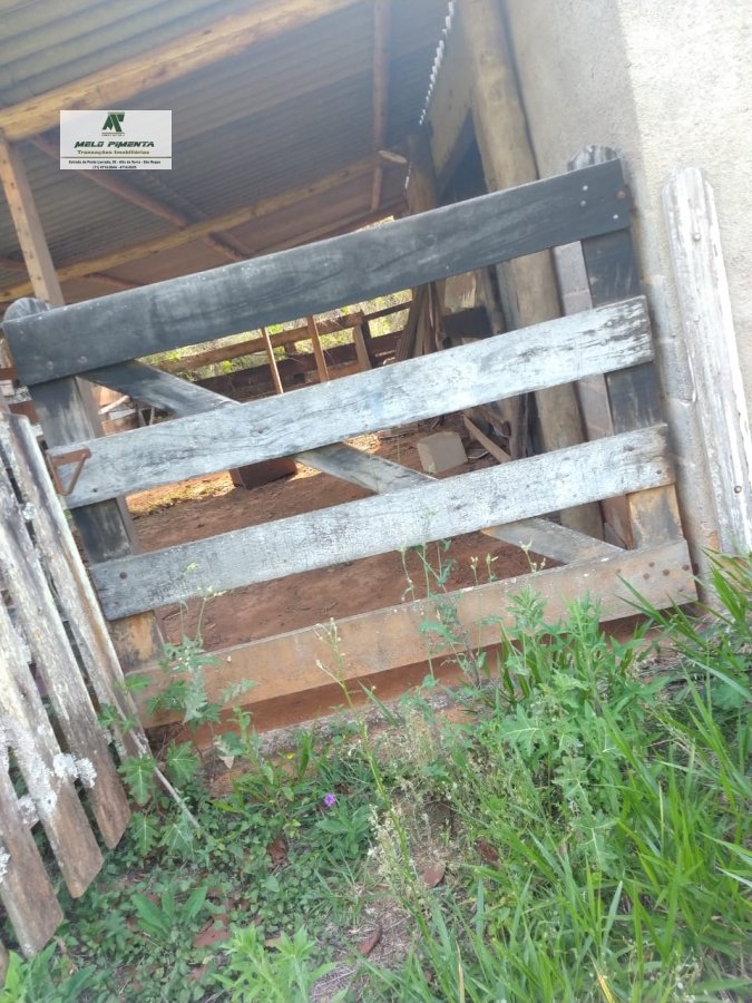 Fazenda-Sítio-Chácara, 11 hectares - Foto 22