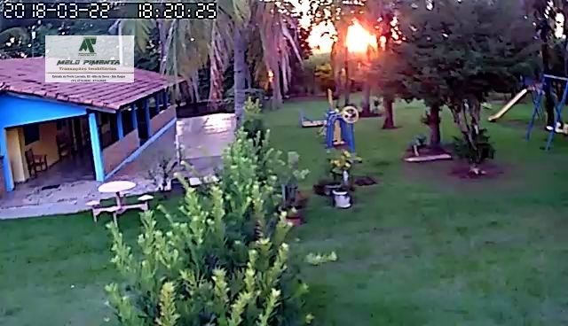 Prédio Inteiro, 20000 m² - Foto 6