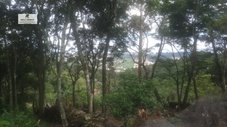 Terreno, 1600 m² - Foto 2