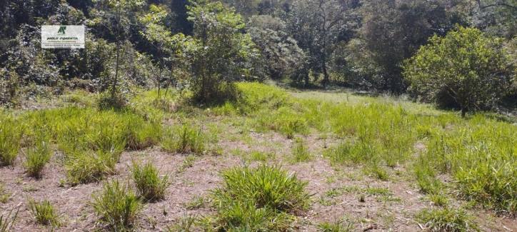 Terreno, 7 hectares - Foto 2