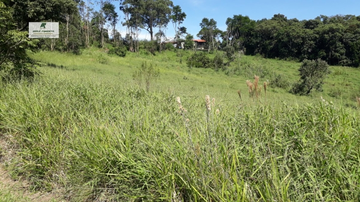 Terreno, 2 hectares - Foto 1