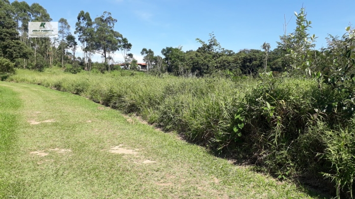 Terreno, 2 hectares - Foto 2