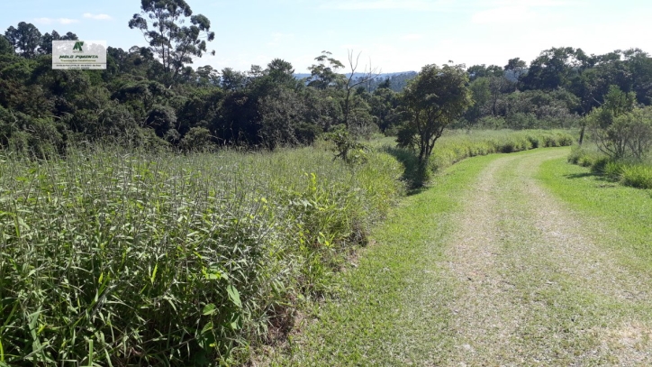 Terreno, 2 hectares - Foto 4