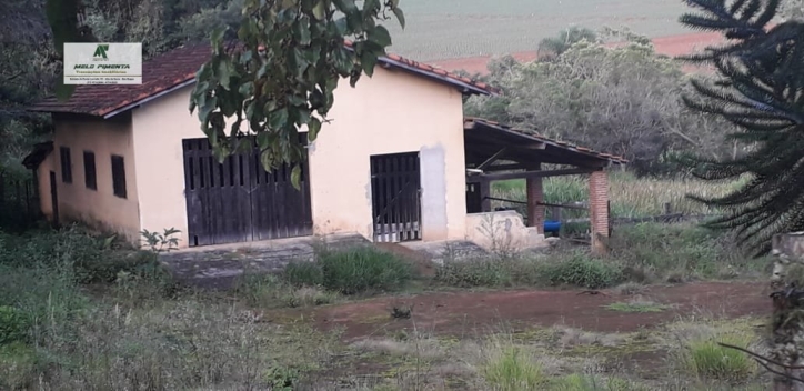 Sítio, 8 quartos, 3 hectares - Foto 4