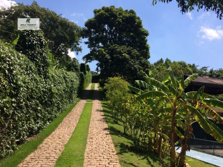 Sítio à venda com 5 quartos, 640m² - Foto 10