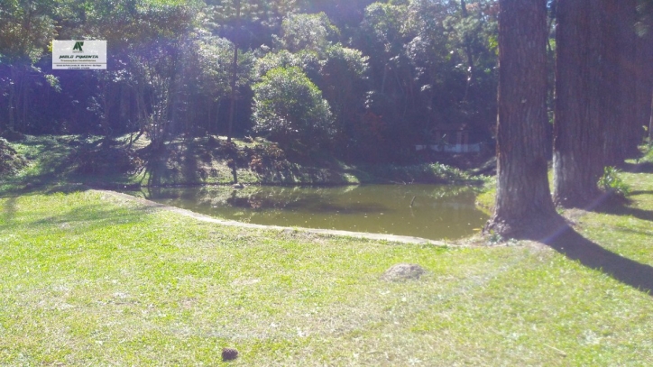 Fazenda, 12 hectares - Foto 6