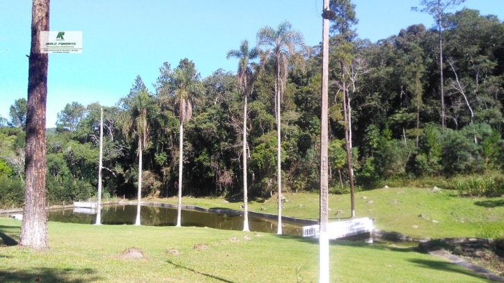 Fazenda, 12 hectares - Foto 7