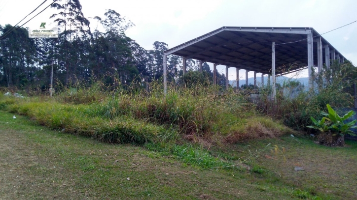 Sala-Conjunto, 5000 m² - Foto 2