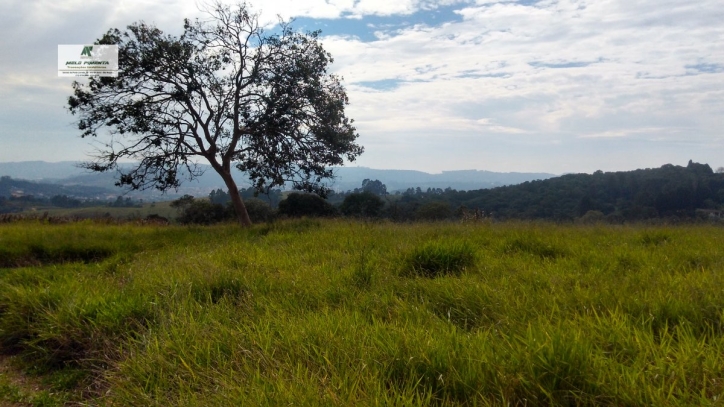 Terreno, 24 hectares - Foto 4