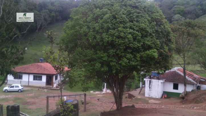 Terreno à venda, 5000m² - Foto 2