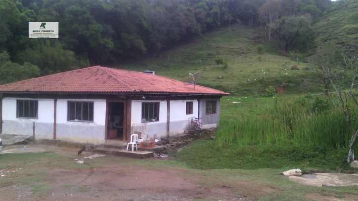 Terreno à venda, 5000m² - Foto 3