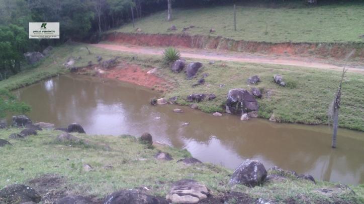 Terreno à venda, 5000m² - Foto 4