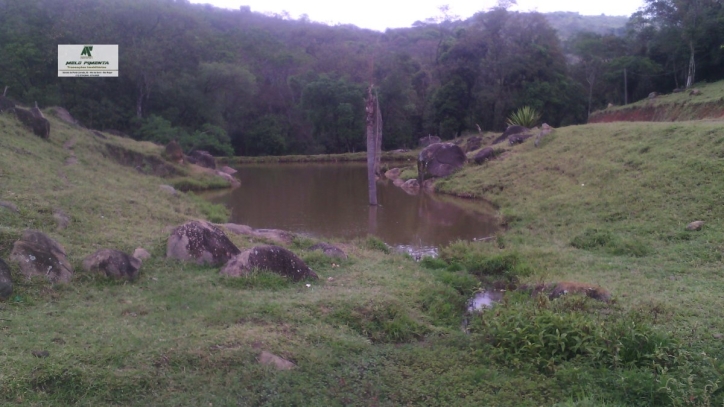 Terreno à venda, 5000m² - Foto 5