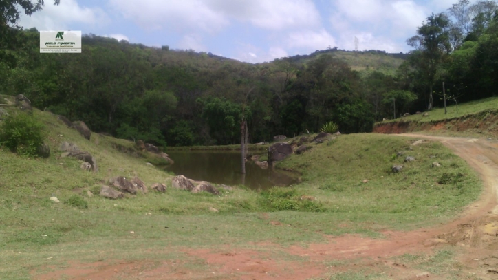 Terreno à venda, 5000m² - Foto 9