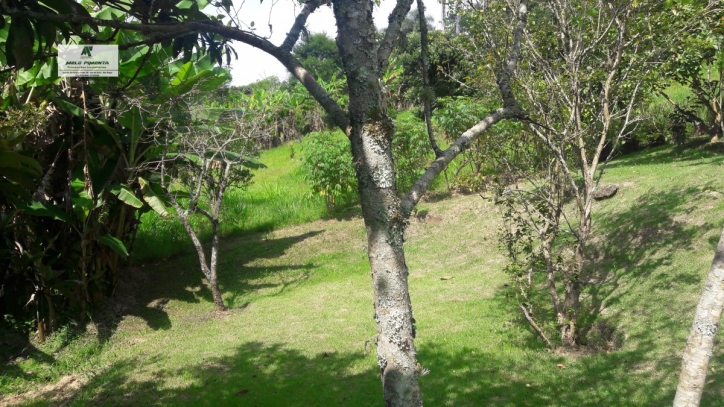 Sítio, 3 quartos, 2 hectares - Foto 13