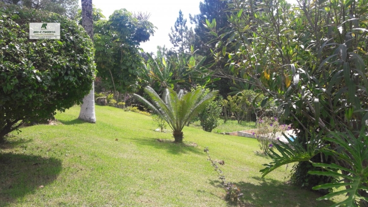 Sítio, 3 quartos, 2 hectares - Foto 14