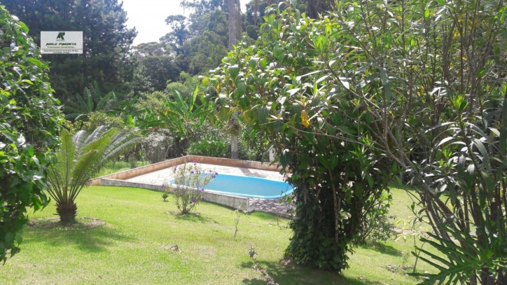 Sítio, 3 quartos, 2 hectares - Foto 15