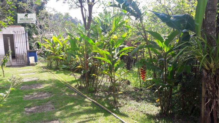 Sítio, 3 quartos, 2 hectares - Foto 19