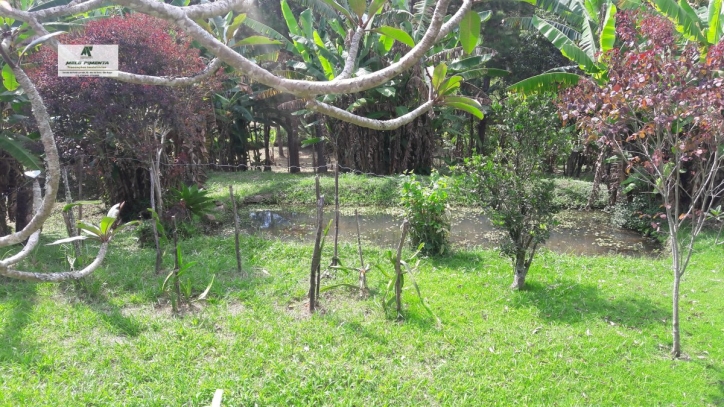 Sítio, 3 quartos, 2 hectares - Foto 21
