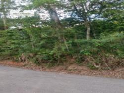 #482 - Terreno para Venda em São Roque - SP - 2