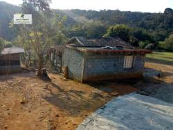 #445 - Fazenda para Venda em São Roque - SP - 1