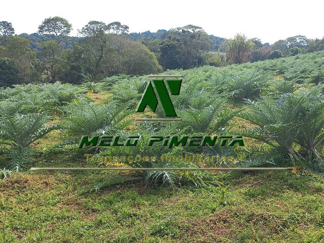 #830 - Terreno para Venda em São Roque - SP - 3