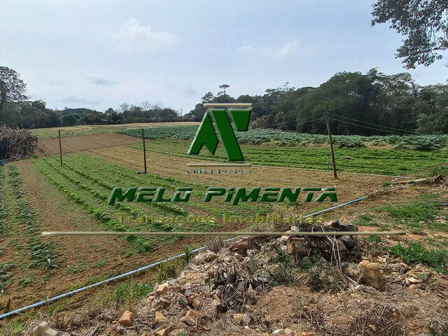 #830 - Terreno para Venda em São Roque - SP - 1