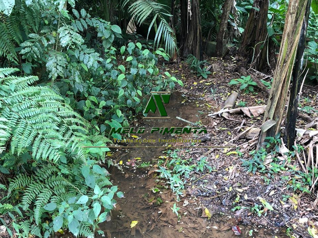 #853 - Terreno Para Formar Chácara para Venda em São Roque - SP