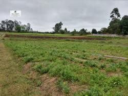 #320 - Terreno para Venda em São Roque - SP - 1