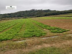 #320 - Terreno para Venda em São Roque - SP - 2