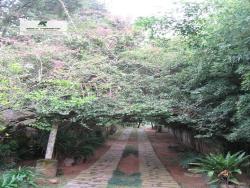 Fazenda para Venda em São Roque - 5