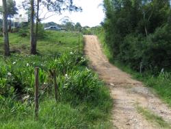 #514 - Fazenda para Venda em São Roque - SP - 3