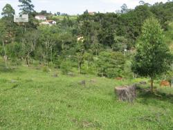 Chácara para Venda em São Roque - 4
